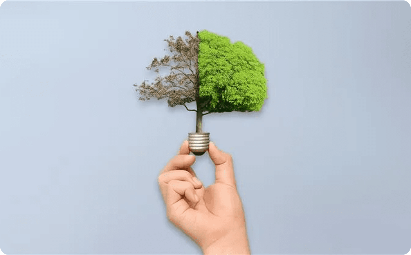 A Practical Guide to Carbon Accounting